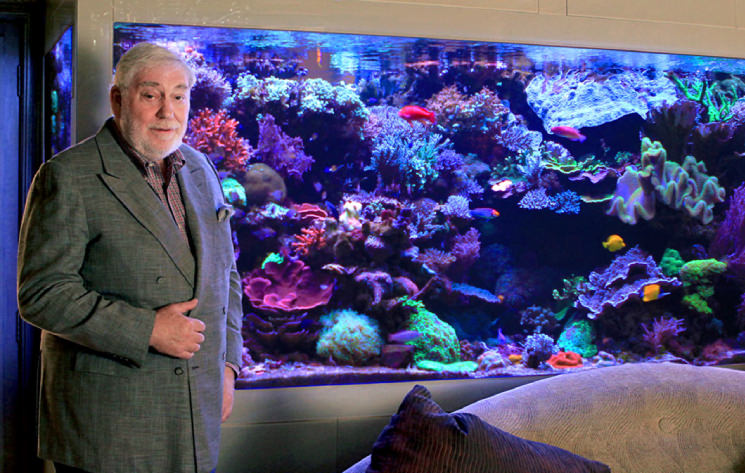 Acuario de David Saxby