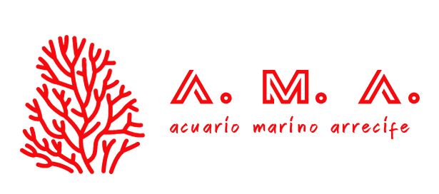 acuario marino arrecife