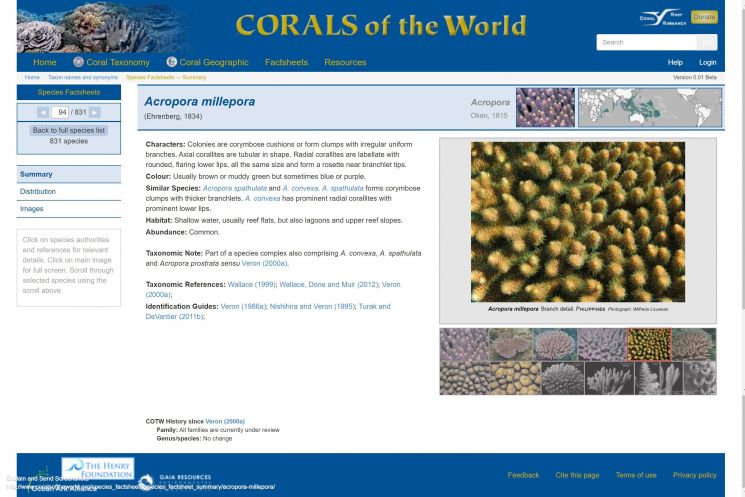 corals of the world web3